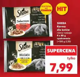 Kaufland SHEBA Karma dla kotów oferta