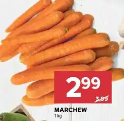 Stokrotka Market Marchew oferta