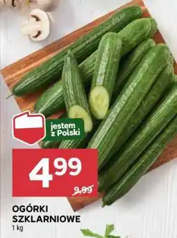 Stokrotka Market Ogórki szklarniowe oferta