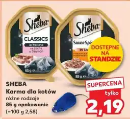 Kaufland SHEBA Karma dla kotów oferta