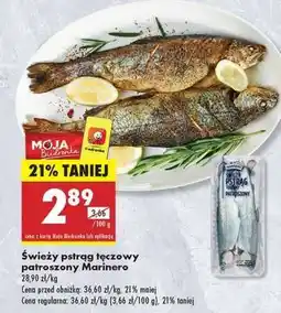 Biedronka Świeży pstrąg tęczowy patroszony Marinero oferta