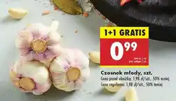 Biedronka Czosnek młody szt oferta