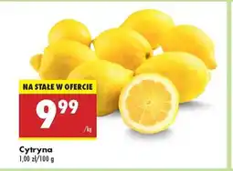 Biedronka Cytryna oferta