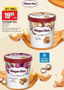 Lody Haagen Dazs 460ml