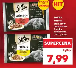 Kaufland Sheba karma dla kotów oferta