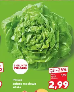 Kaufland Polska sałata masłowa oferta
