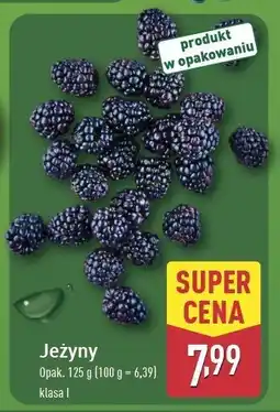 ALDI Jeżyny oferta