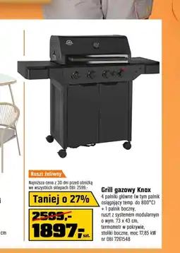 OBI Grill C &C oferta