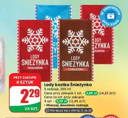Dino Lody Śnieżynka oferta