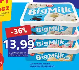 Hildebrandt Lody algida oferta