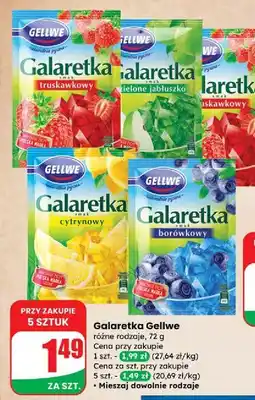 Dino Galaretka borówkowa Gellwe oferta