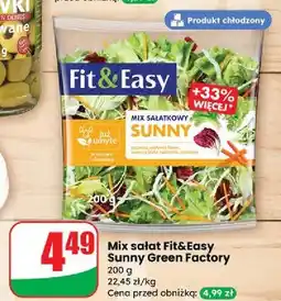 Dino Mix sałatkowy sunny Fit & Easy oferta