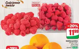 Dino Maliny polska oferta