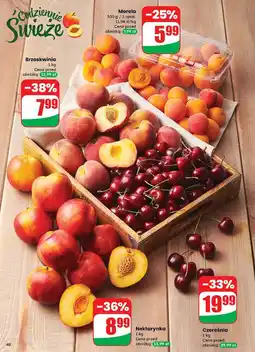 Dino Morele oferta
