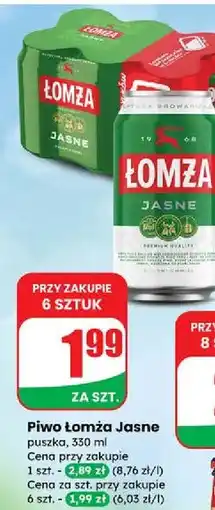 Dino Piwo Łomża Jasne (Dawniej Export) oferta
