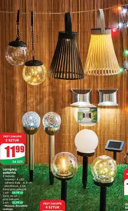 Dino Lampa solarna plastikowa oferta