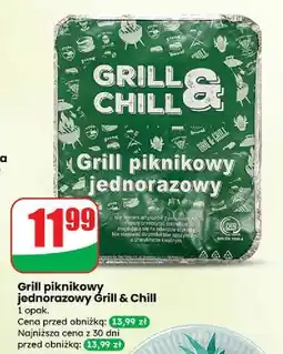 Dino Grill jednorazowy & Chill oferta