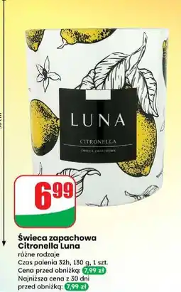 Dino Świeca zapachowa 32h citronella Luna oferta