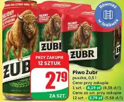 Dino Piwo Żubr 1768 oferta