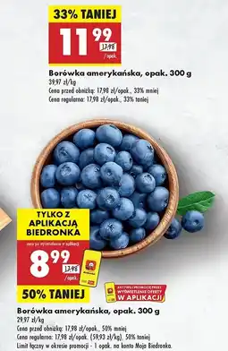 Biedronka Borówki amerykańskie oferta