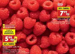 Biedronka Maliny oferta