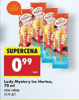 Biedronka Lód czajnik Hortex mystery ice oferta