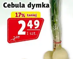 Prim Market Cebula dymka Prim Market oferta