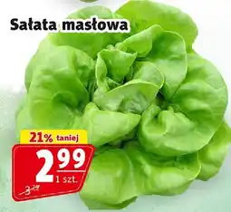 Prim Market Sałata masłowa Prim Market oferta