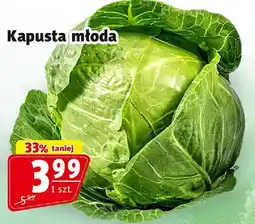 Prim Market Kapusta młoda Prim Market oferta