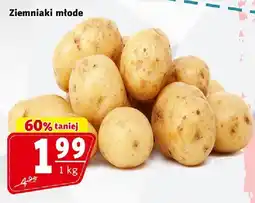 Prim Market Ziemniaki młode Prim Market oferta