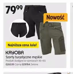 Jula Szorty turystyczne męskie Kayoba oferta