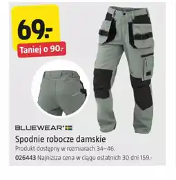 Jula Spodnie robocze damskie Bluewear oferta