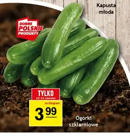Gram Market Ogórki szklarniowe oferta