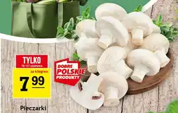 Pieczarki