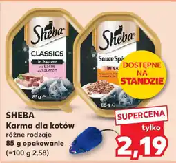 Kaufland Sheba karma dla kotów oferta