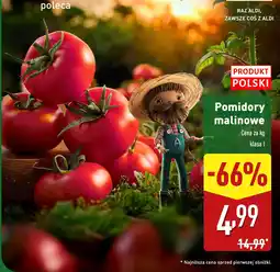 ALDI Pomidory malinowe oferta