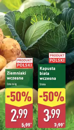 ALDI Kapusta biała wczesna oferta