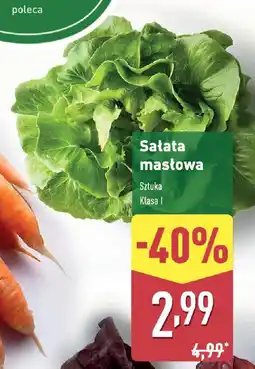 ALDI Sałata mastowa oferta