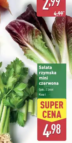 ALDI Satata rzymska mini czerwona oferta