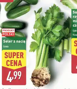 ALDI Seler z nacią oferta