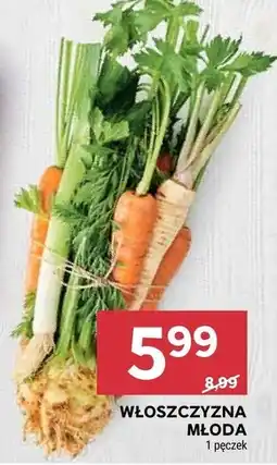 Stokrotka Włoszczyzna oferta