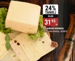 bi1 Ser Serenada oferta
