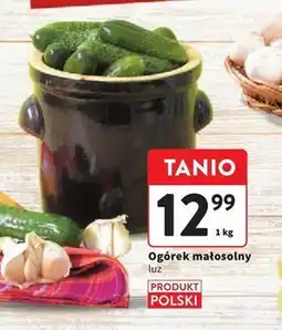 Intermarche Ogórek Polski oferta