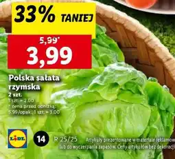 Lidl Polska sałata rzymska oferta