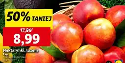 Lidl Nektarynki, luzem oferta