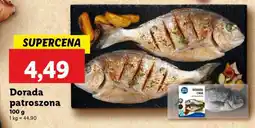 Lidl Dorada patroszona oferta