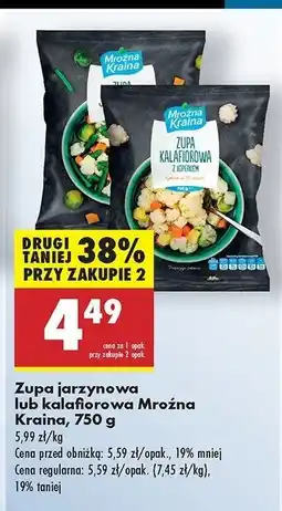 Biedronka Zupa jarzynowa Mroźna kraina oferta