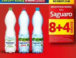Lidl Woda średnionasycona Saguaro Muszyńskie oferta