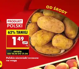 Biedronka Polskie ziemniaki wczesne oferta