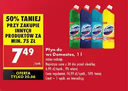 Biedronka Płyn do wc Domestos oferta